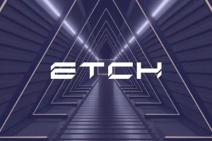 Etch-le-futur-de-Wordpress-1280x668