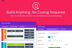 divi-builder-interface