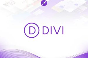 divi-theme